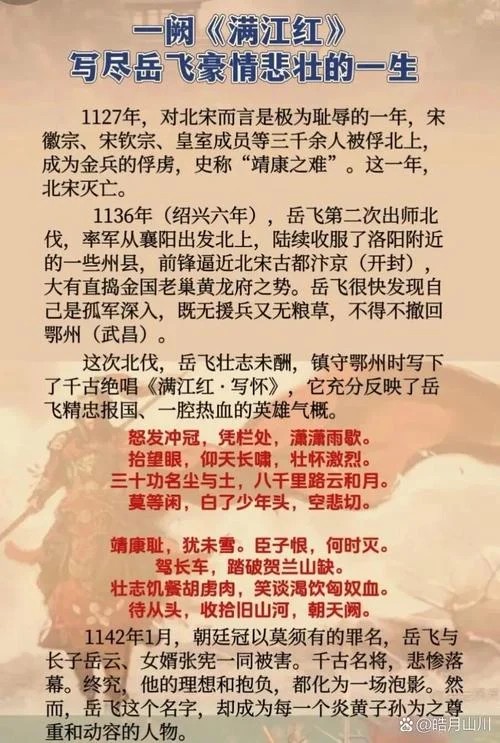 岳飞抗金的历史故事_2