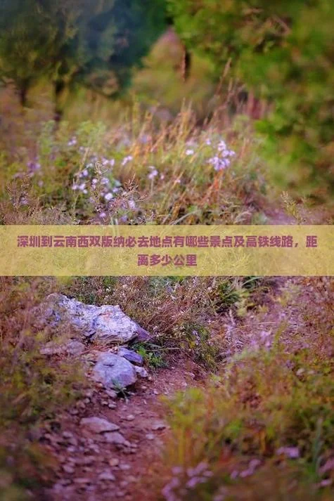 深圳到云南多少公里_1