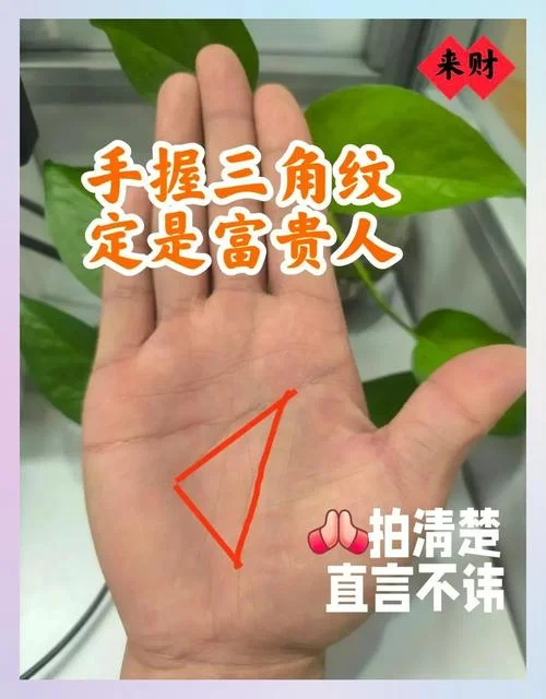 做小三的手相_1