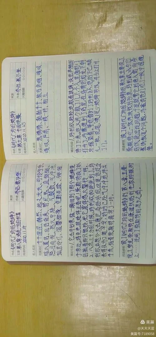 我们的时代读后感-时代读后感精选