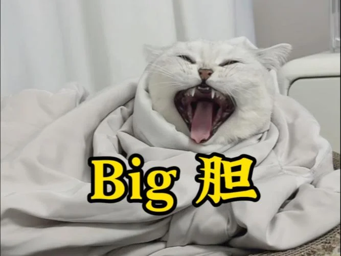 big o是什么意思_1
