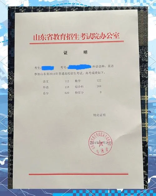 山东招生考试院录取查询_1