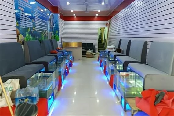 鱼疗店加盟费多少钱-鱼疗店加盟费多少
