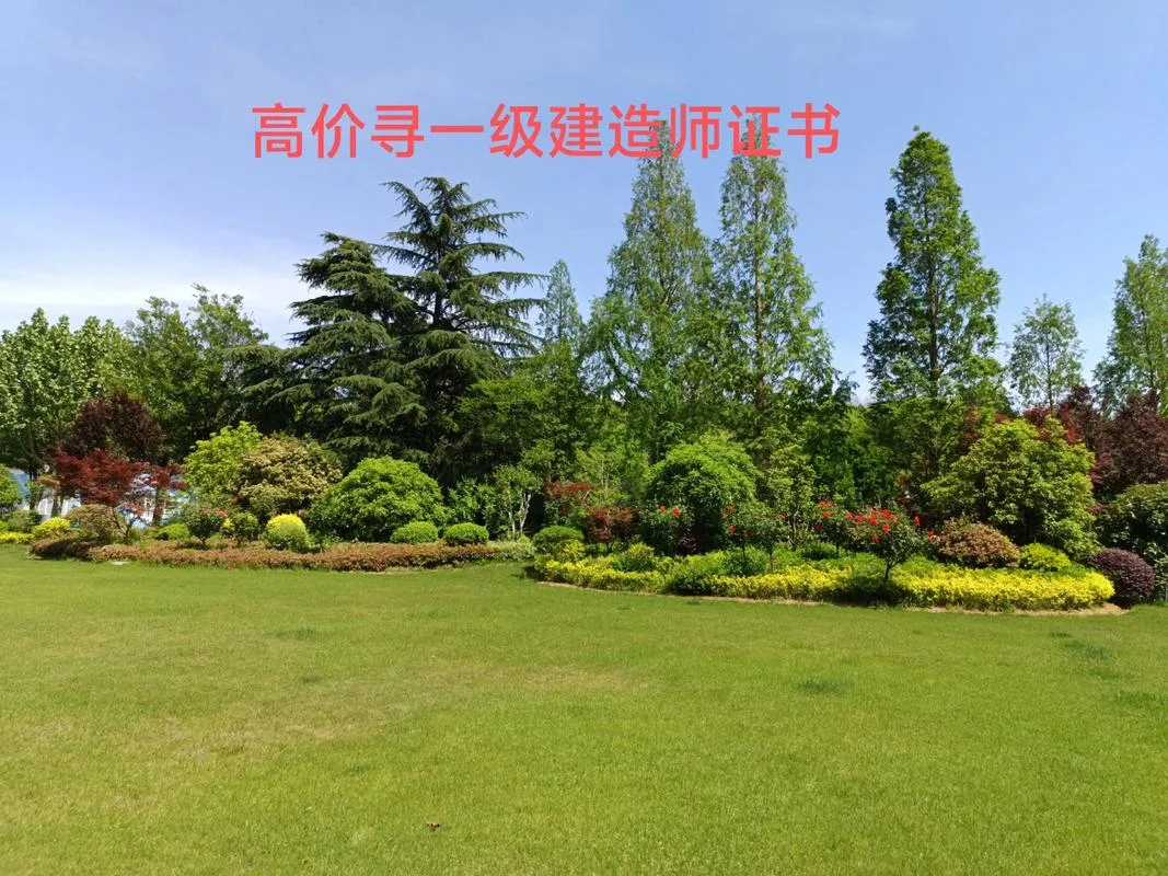 一级建造师哔哩哔哩-一建B站