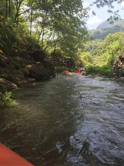 乌镇到千岛湖有多少公里_2