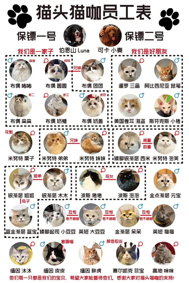 猫的主人叫什么_1