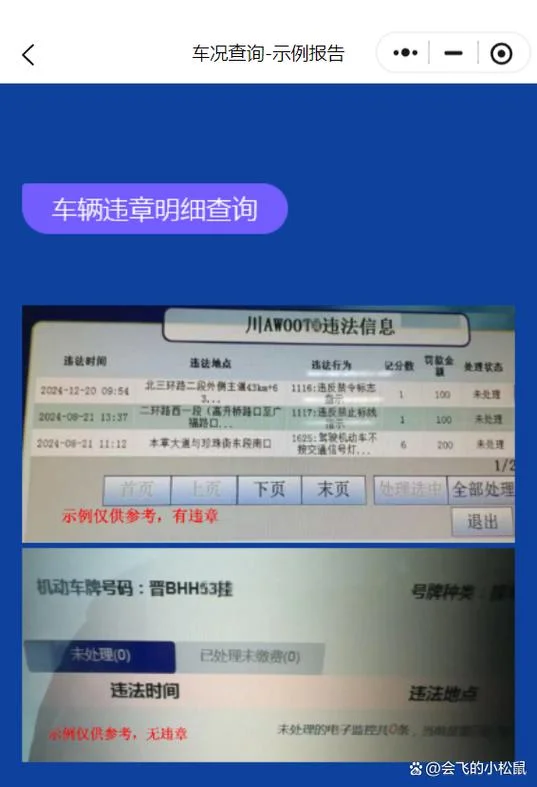如何查违章车_2