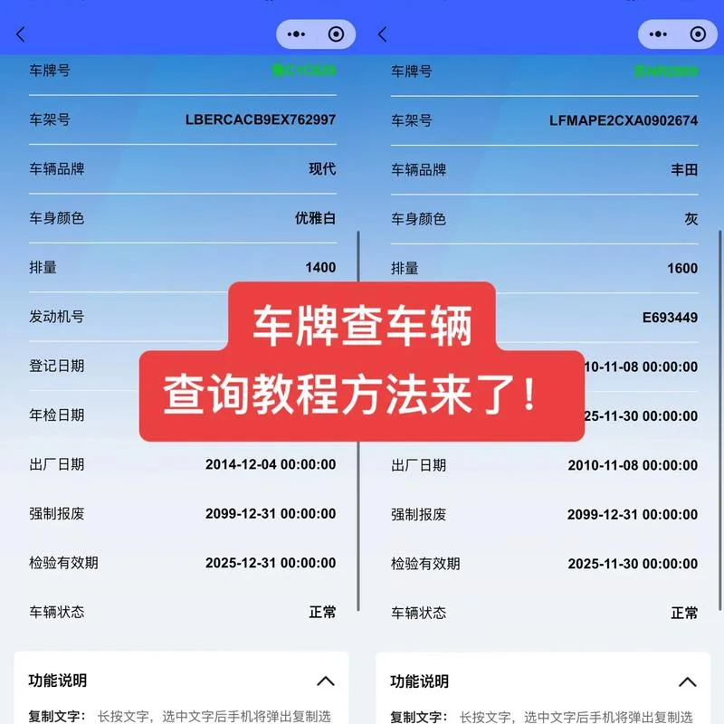 在哪查车辆违章_2