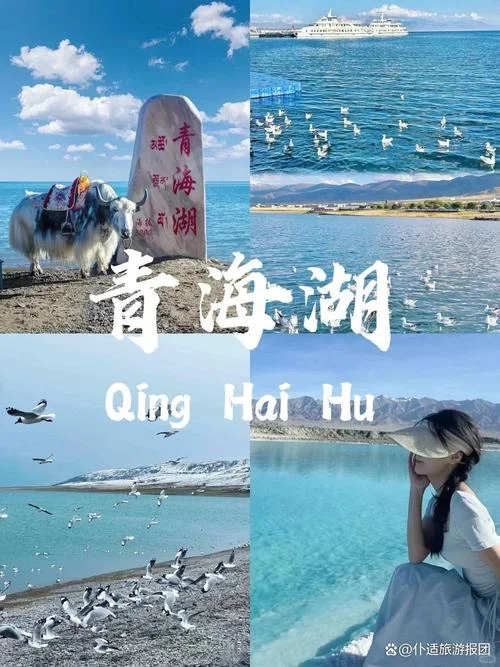 青海旅游9日游_1