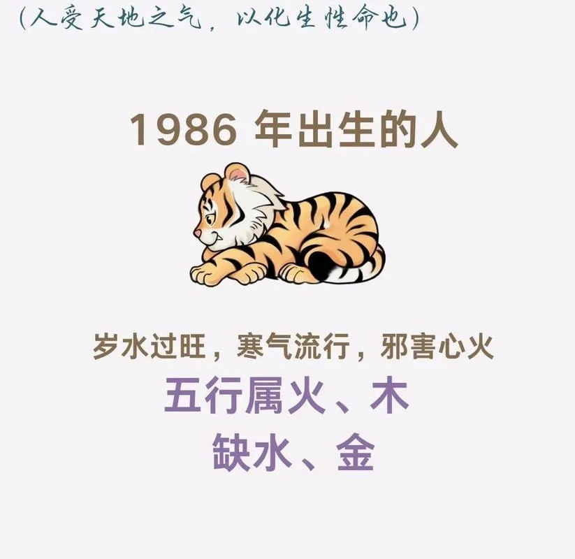 属虎的什么年运势最差-属虎最差的年份