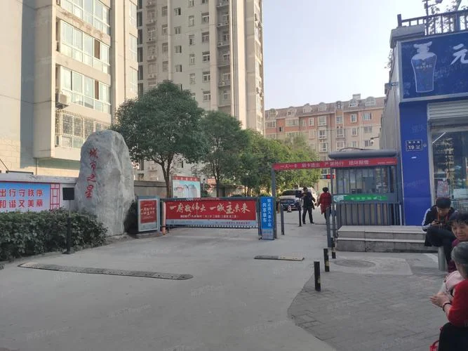 城市之星哪年的好-哪年好 城市之星