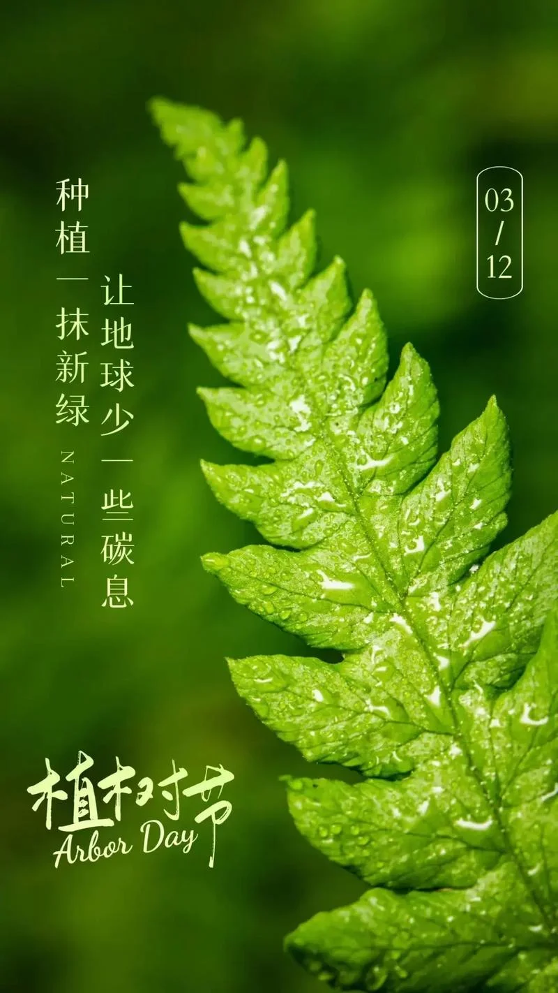 植树节是哪一年_2
