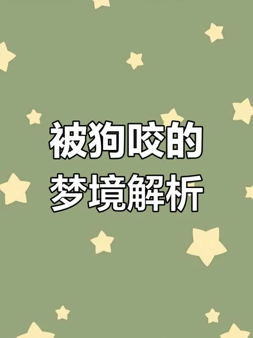 梦见狗咬你是什么意思-梦狗咬人寓意