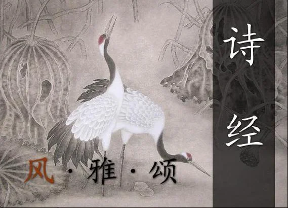 若汐出自诗经哪一句_2