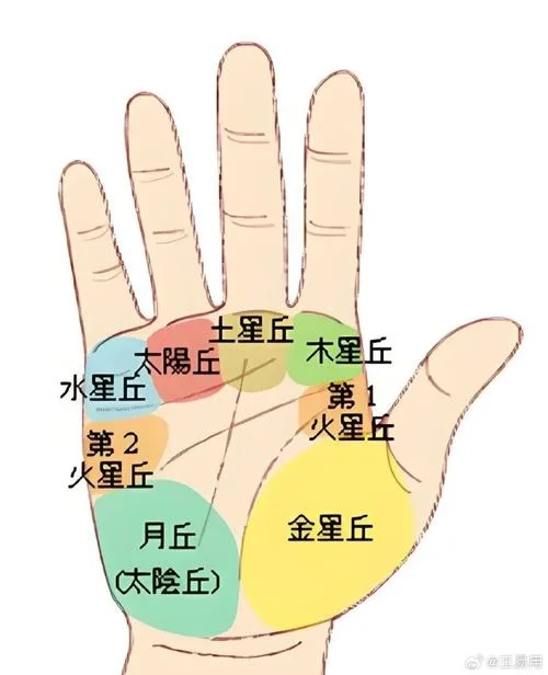 手相有个田字-无手相田字