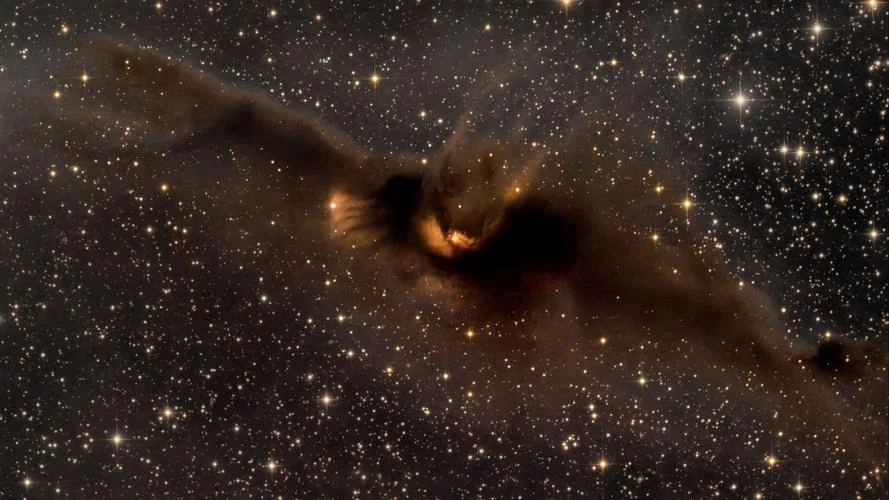 最年轻的恒星叫什么_1