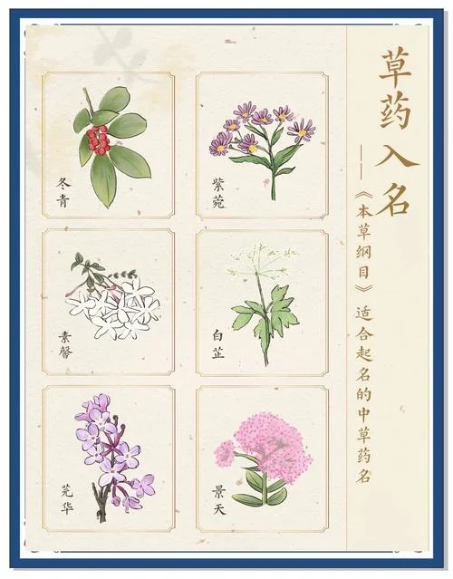 本草纲目是谁写的前言_1