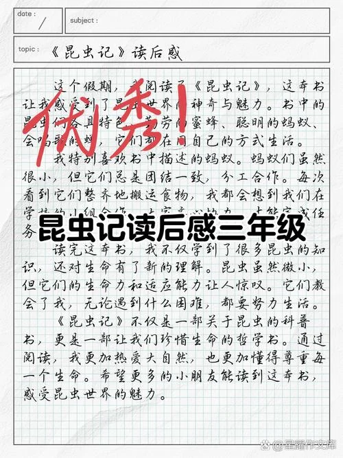 昆虫记收获和感悟_1