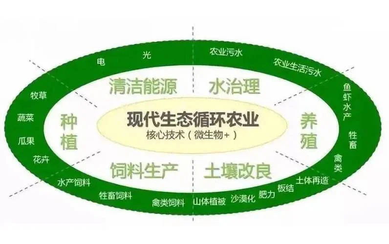 循环经济是什么原理_1