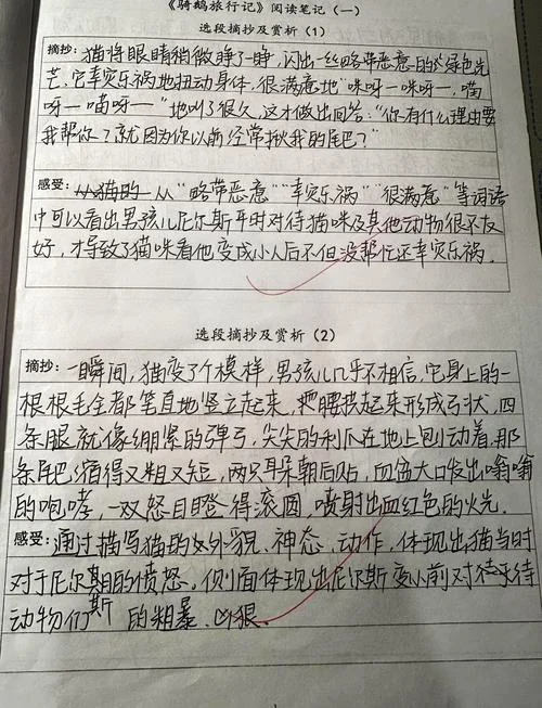 尼尔斯骑鹅旅行记阅读感悟100字_1
