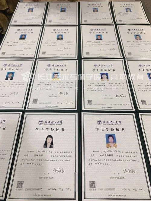 学士学位证书编号怎么查询_2