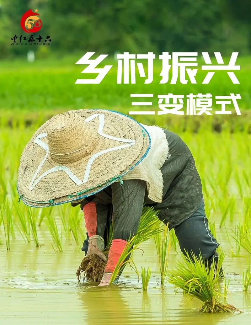 振兴农村项目-乡村振兴项目