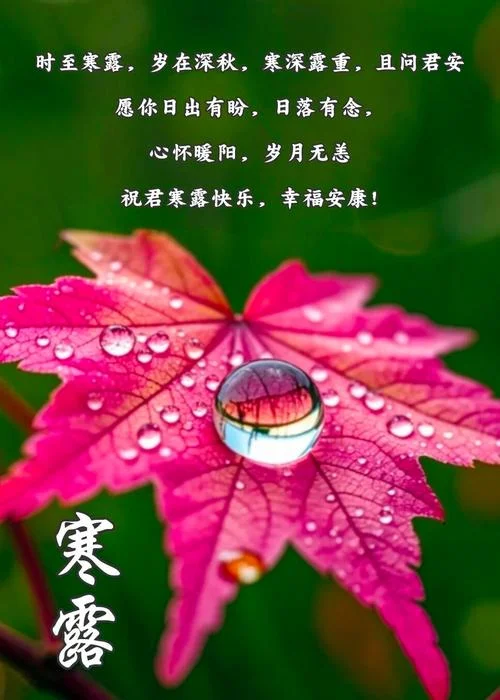 寒露节气祝福图片_2