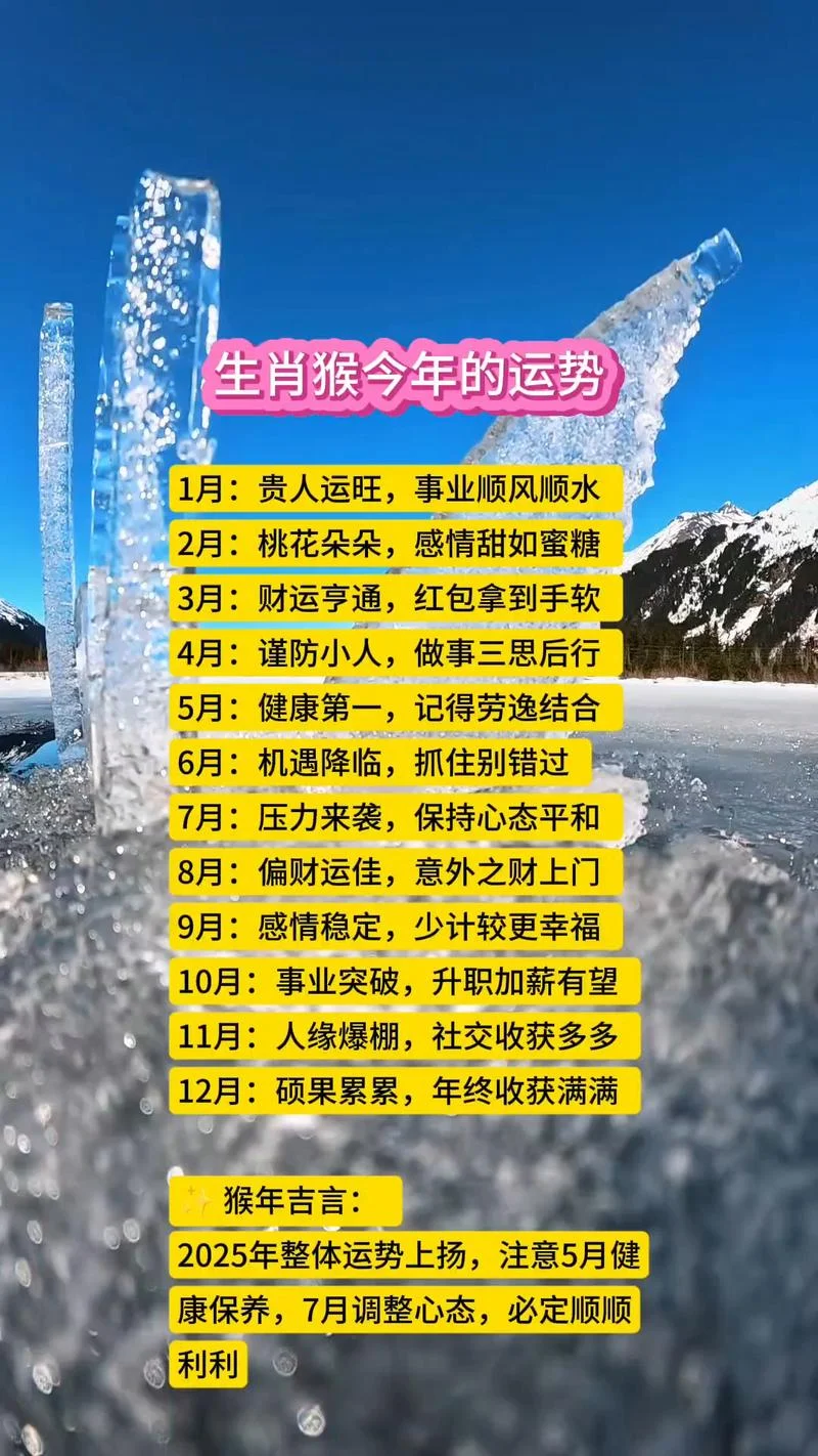 牛年运势猴_1