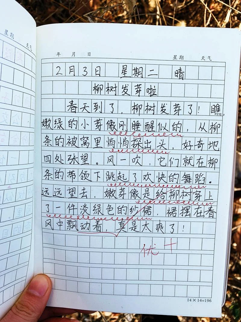 找春天日记怎么写_1