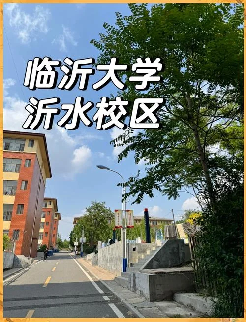 临沂大学占地面积多少平方千米_2