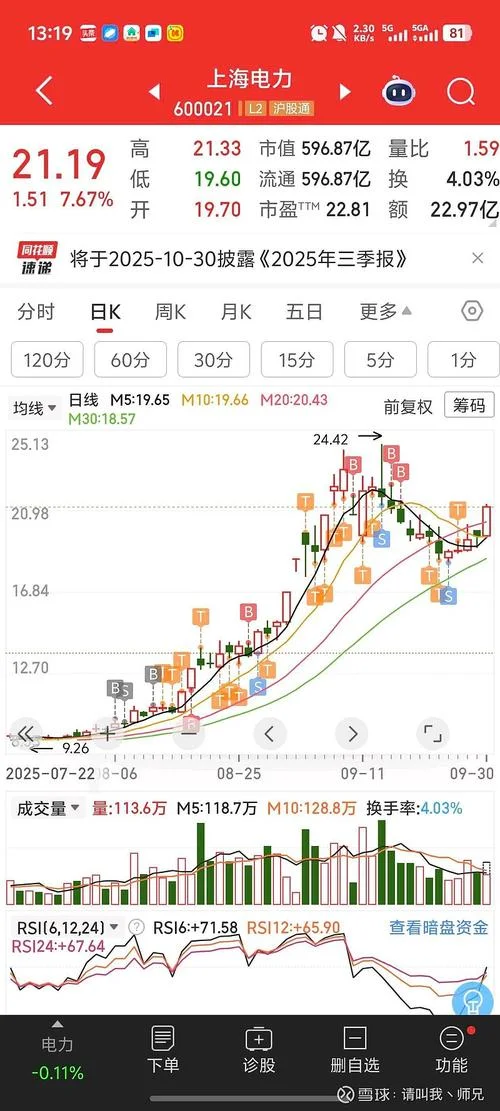 600021上海电力历史分红-上海电力历史分红