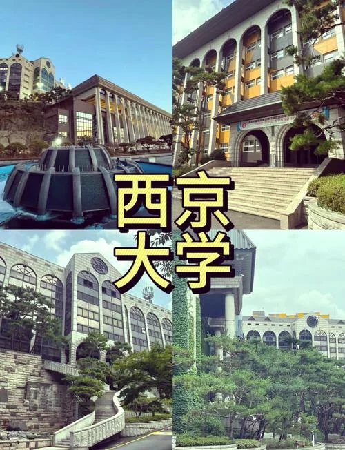 韩国西京大学美容系_1