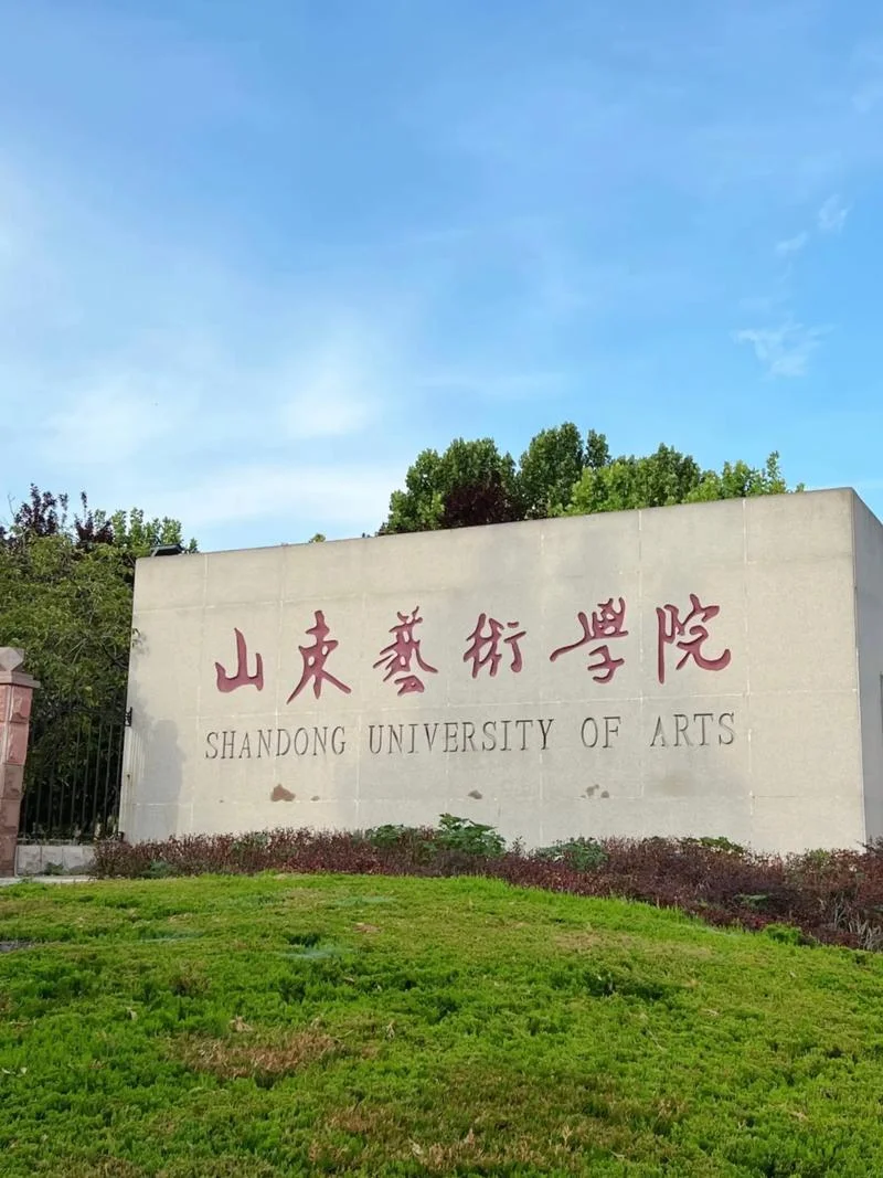 不是艺术生可以报考艺术学院吗_2