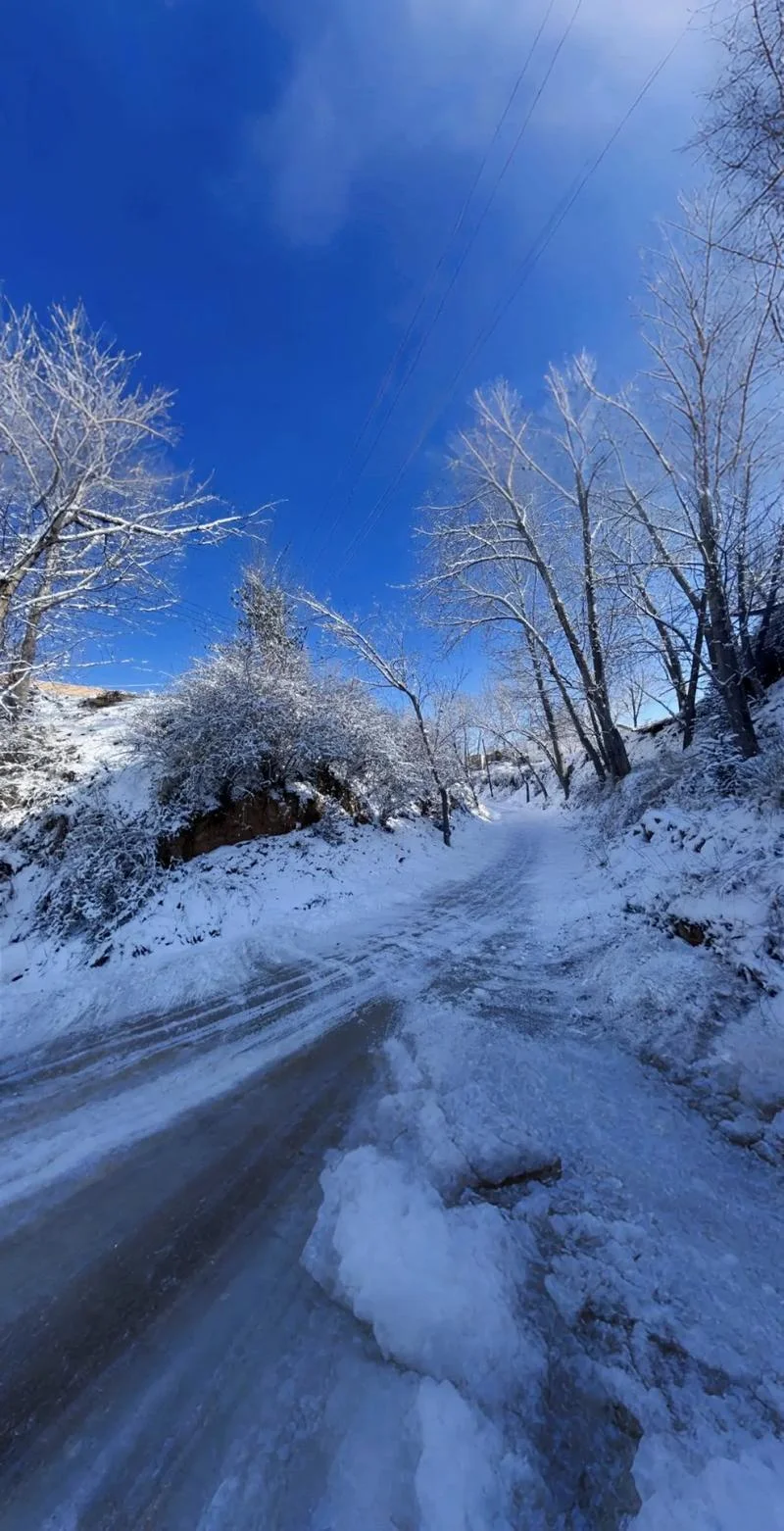 面如霜下雪出自哪里_1