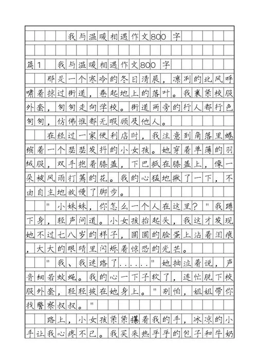 高中记叙文800字及点评-高中记叙文点评