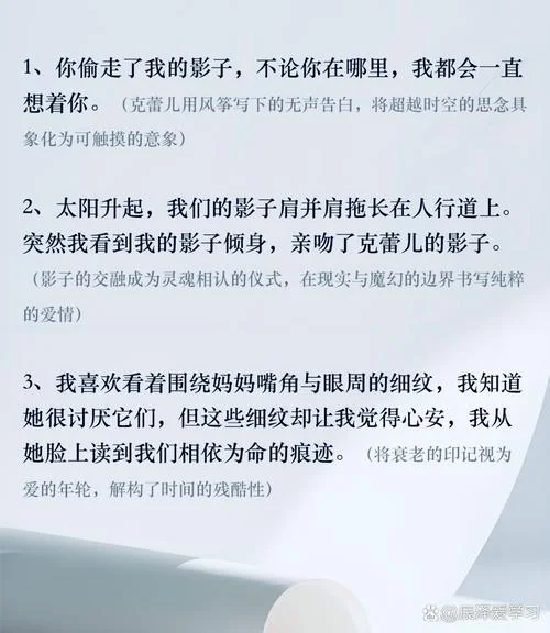 偷影子的人感悟50字-偷影子感悟人生