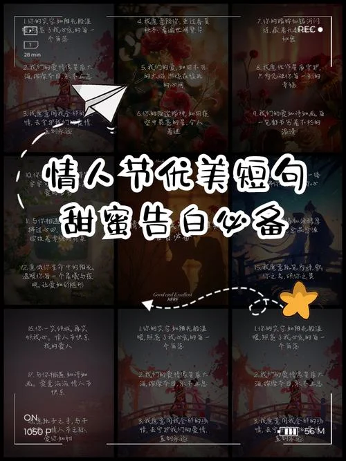 情人节发表说说_1