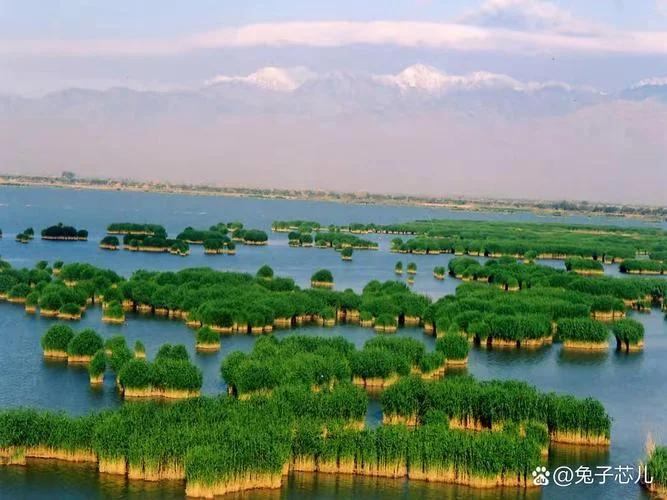 沙湖旅游景点哪个好_1