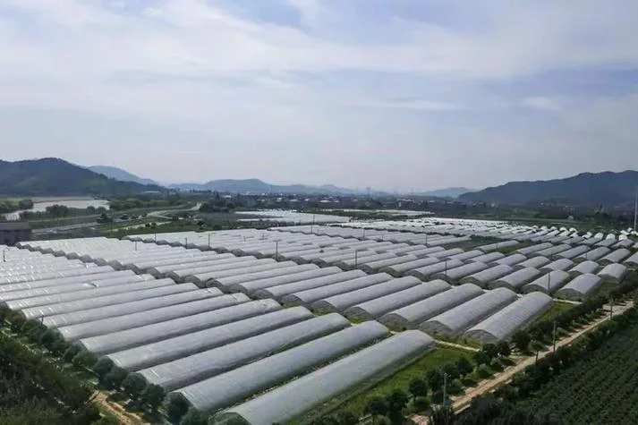 贵阳离上海有多少公里_2