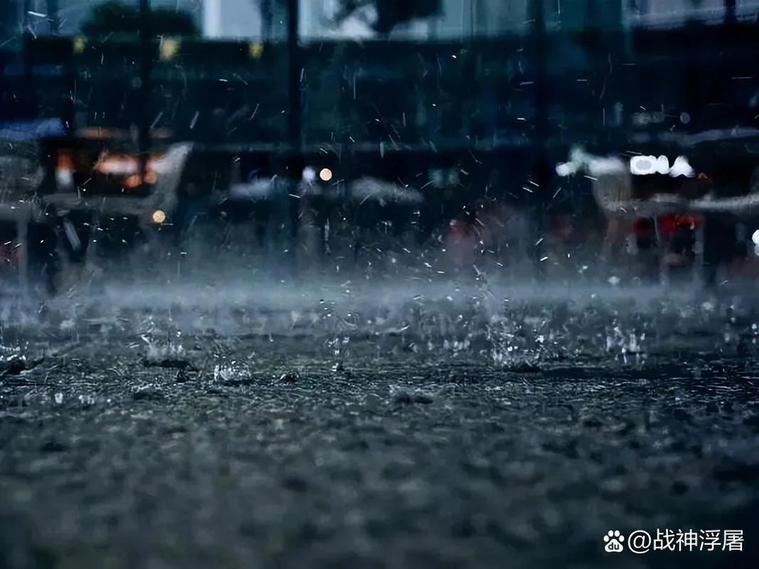 梦见好大的雨_1