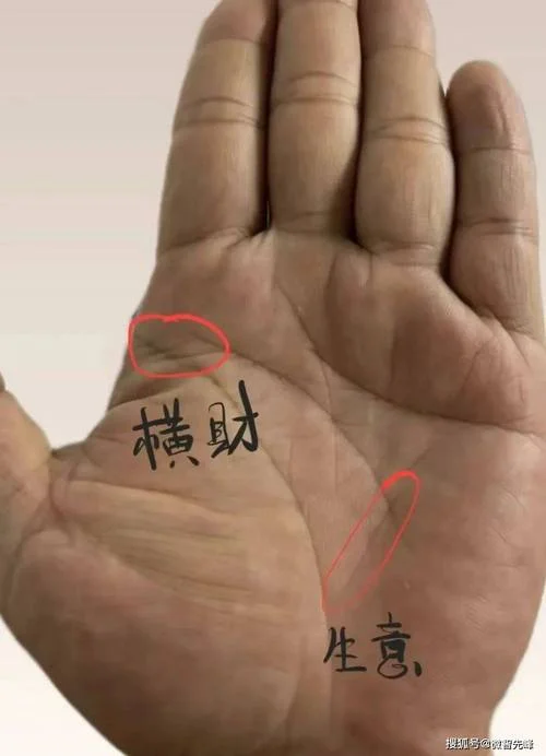 男人手相图片大全_1