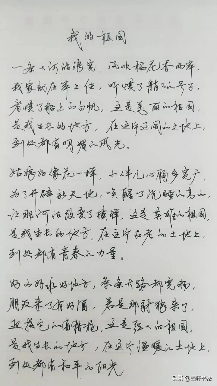 收留我的歌词是谁写的_2