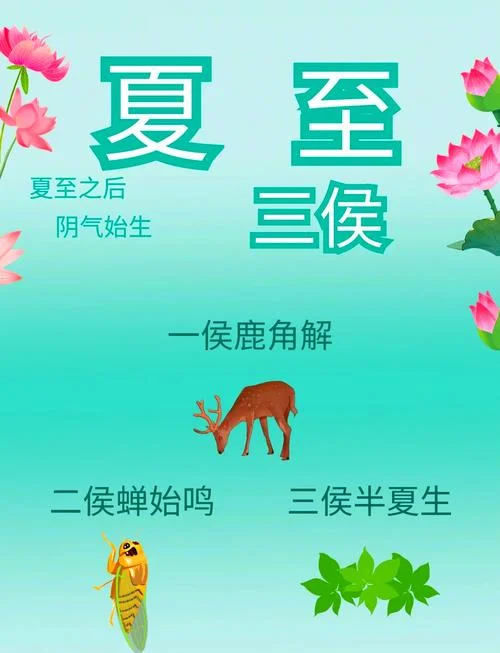 夏至精确到几月几日_2