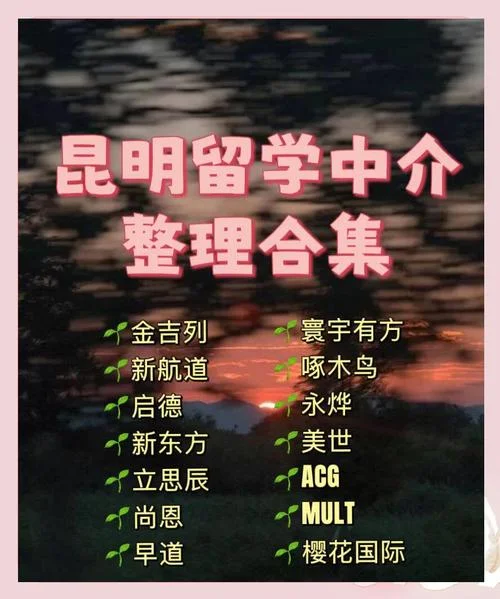 昆明留学中介十大排名-