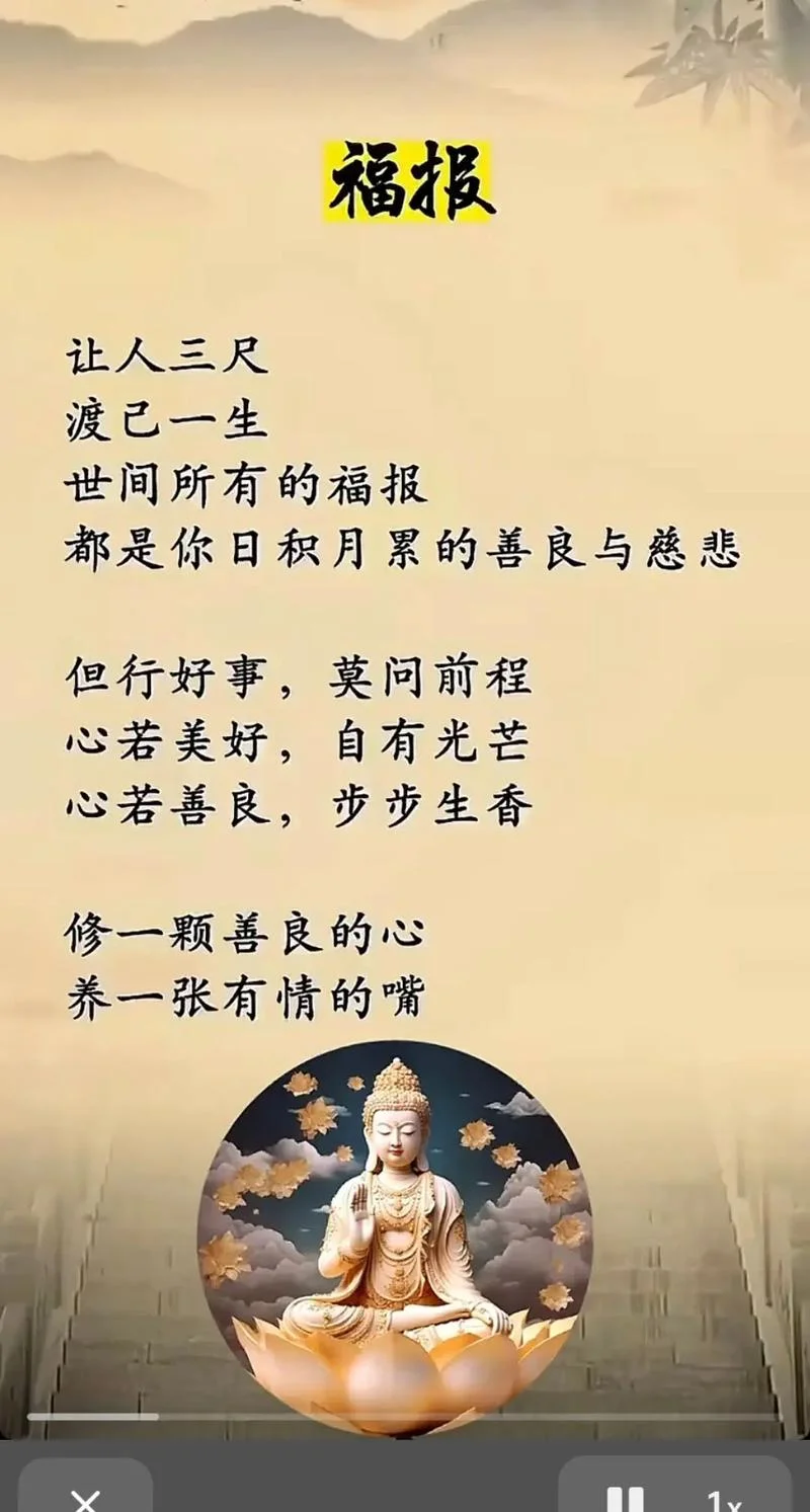 禅语感悟人生的句子经典_1