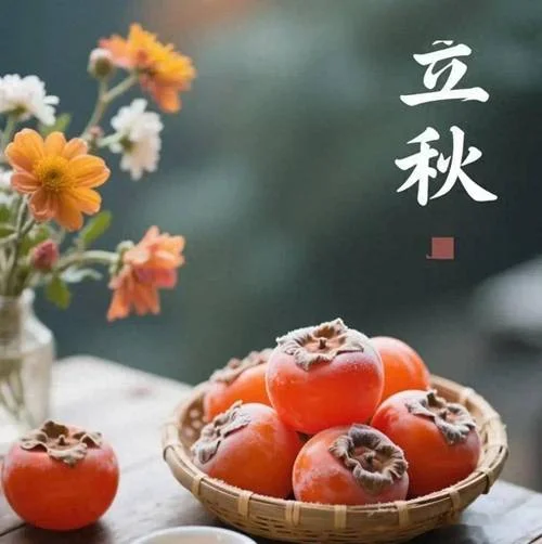 2007年立秋是几月几日-2007 年立秋是 8 月 7 日