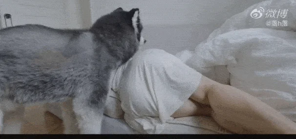 好看的番号动态图出处_1