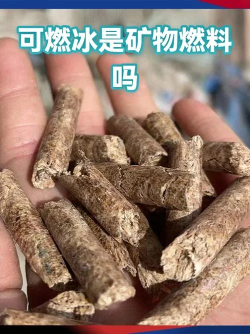 什么是可燃冰的学名_1