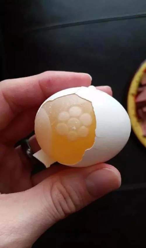 我吃辣条呢 出处_1