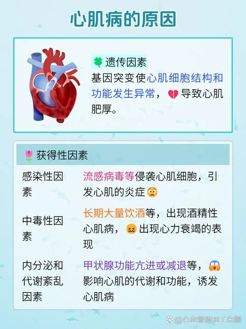 什么是原发性心肌病_2